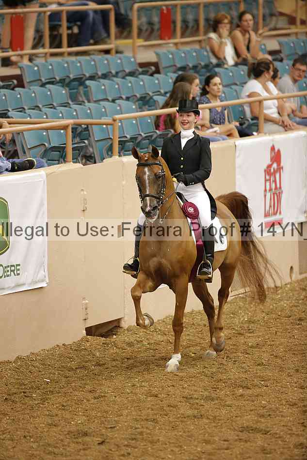 Proof 14yn_09350