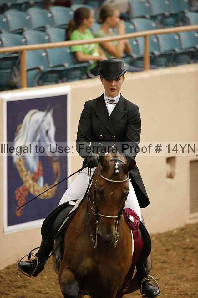Proof 14yn_09351