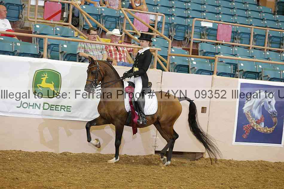 Proof 14yn_09352