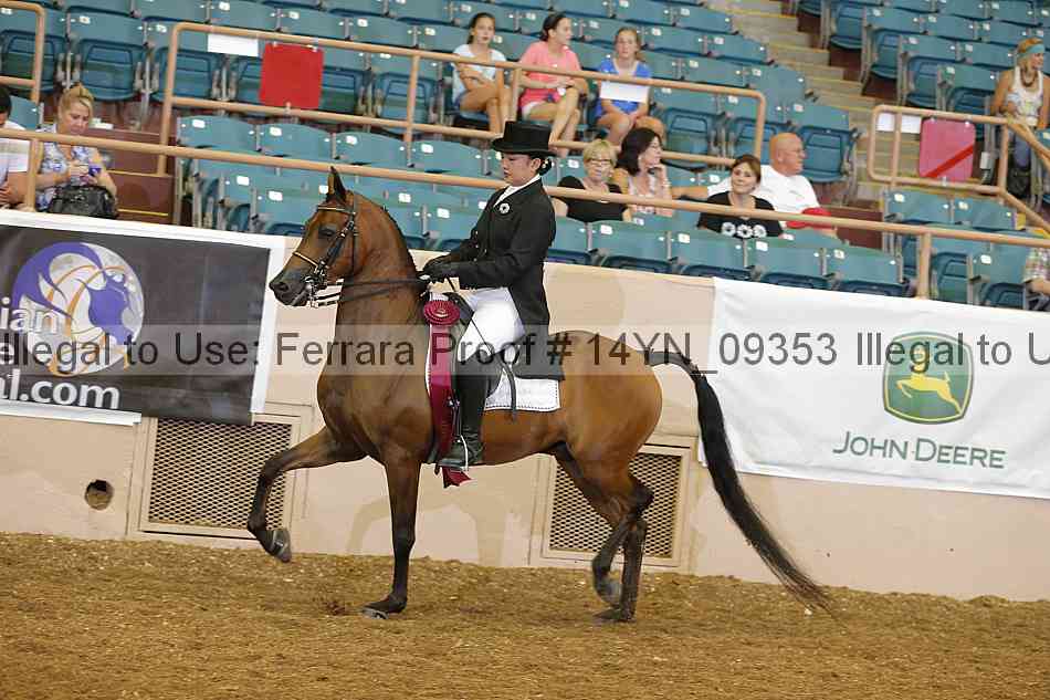 Proof 14yn_09353