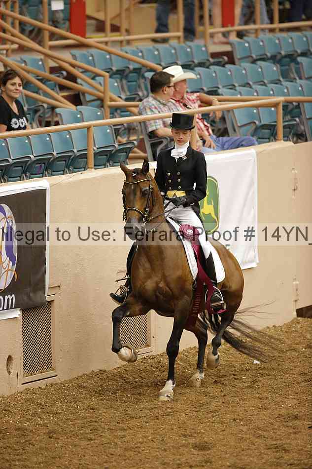 Proof 14yn_09354