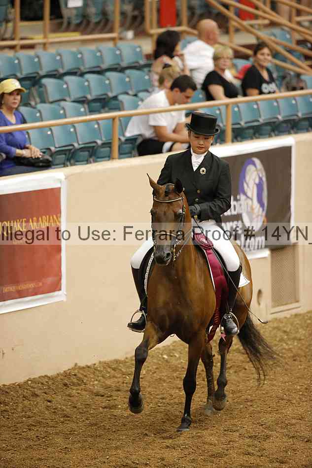 Proof 14yn_09355