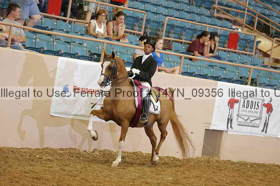 Proof 14yn_09356