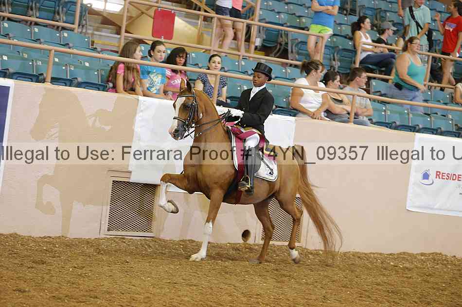Proof 14yn_09357