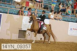 14yn_09357 proof