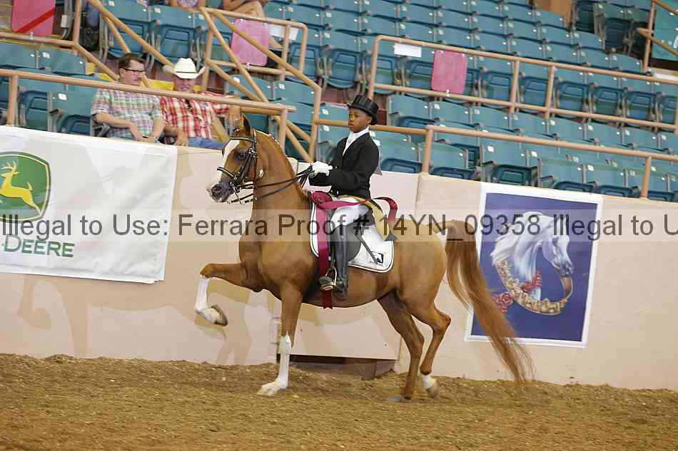 Proof 14yn_09358
