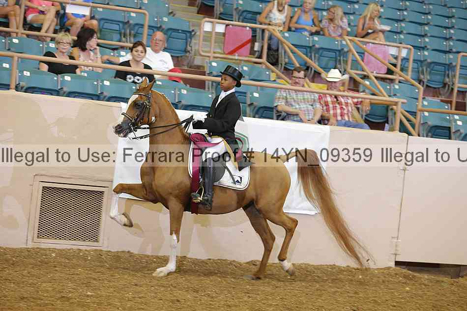 Proof 14yn_09359