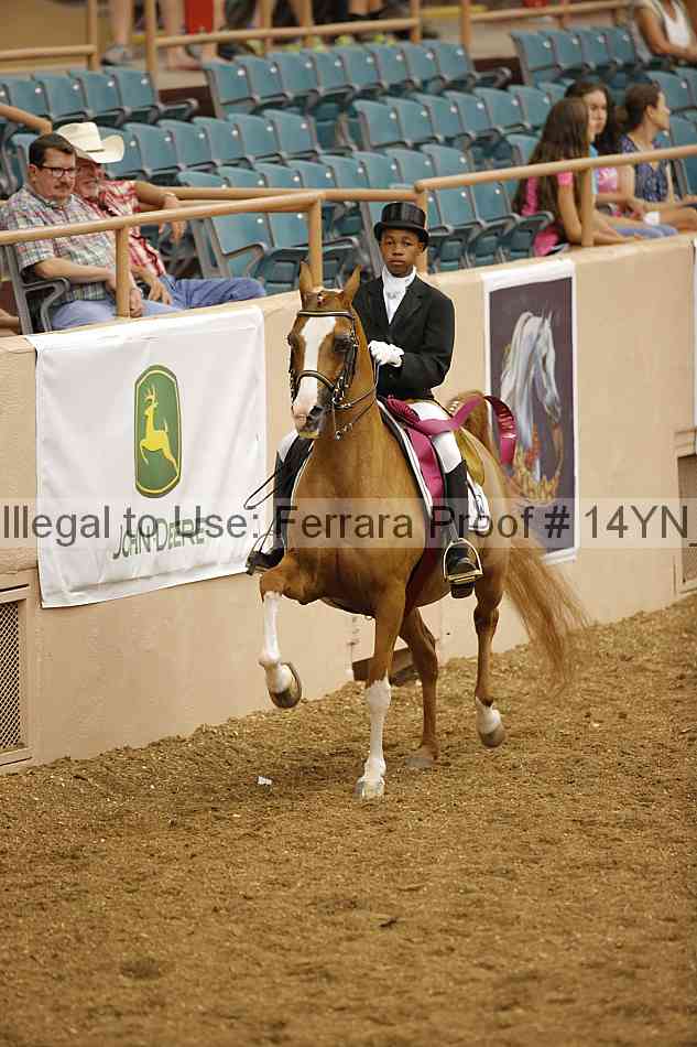 Proof 14yn_09360