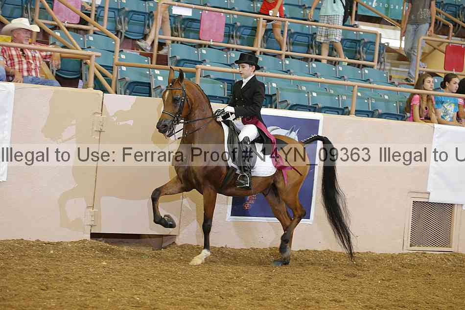 Proof 14yn_09363
