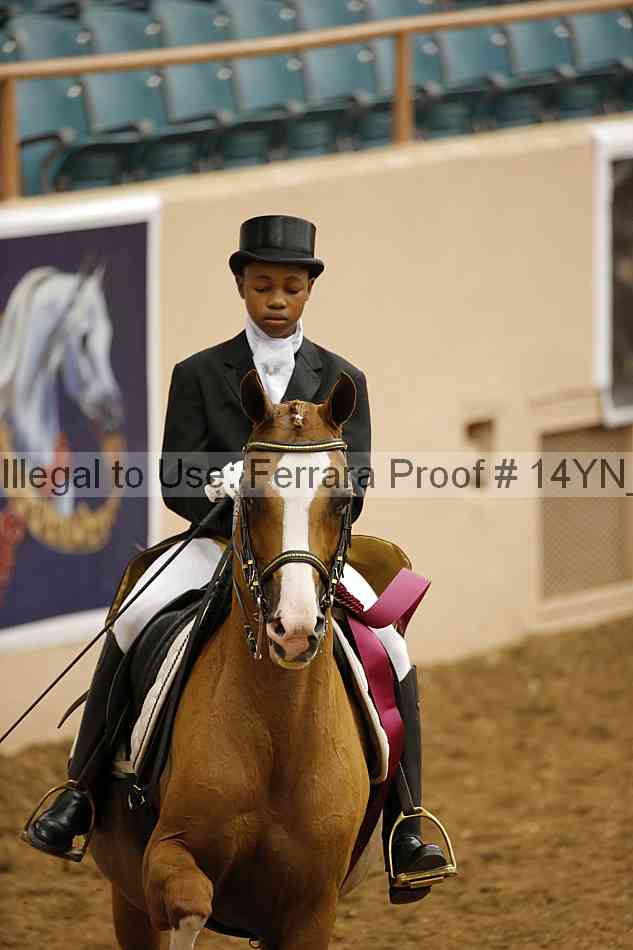 Proof 14yn_09364