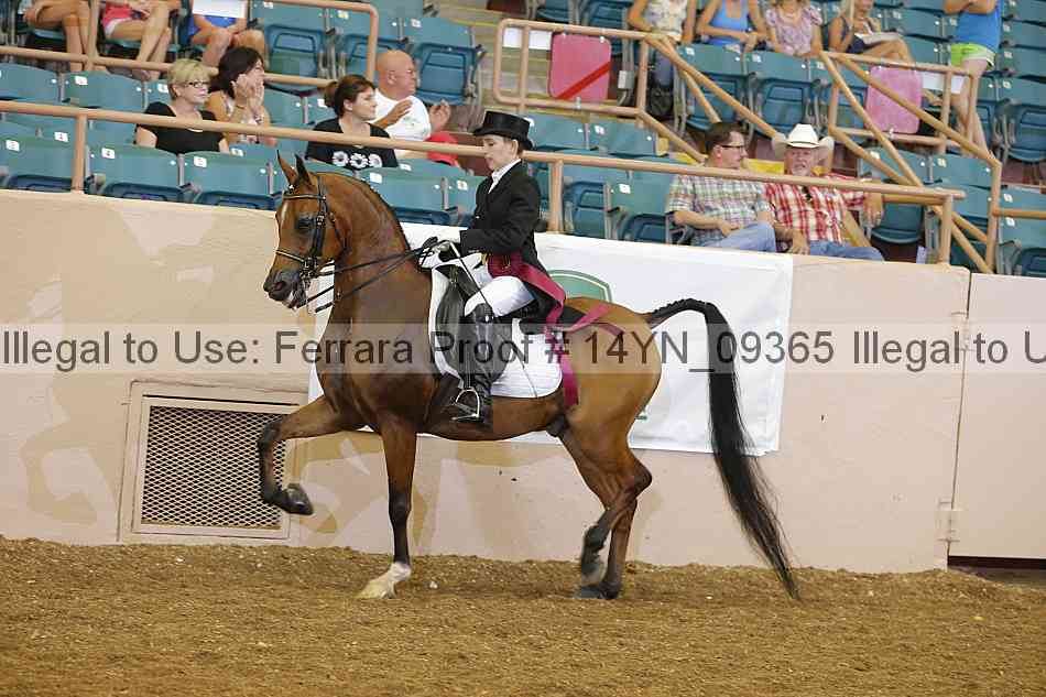 Proof 14yn_09365
