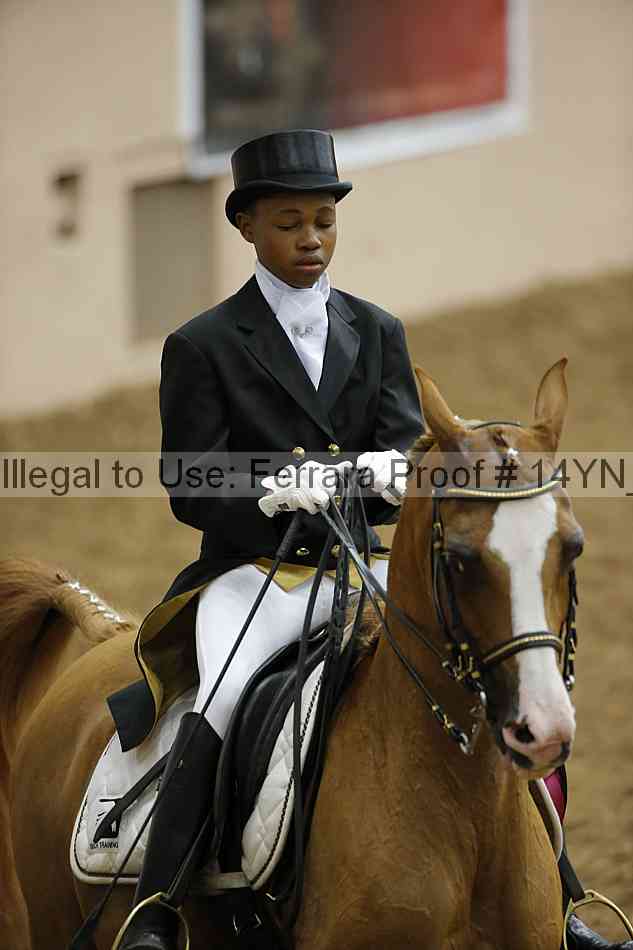 Proof 14yn_09366