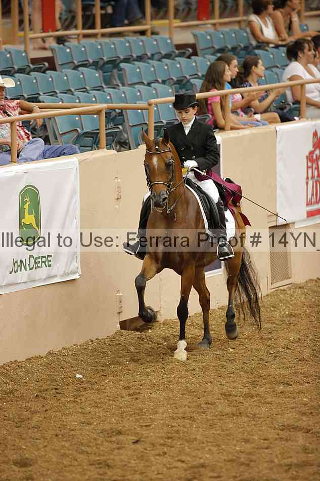 Proof 14yn_09367