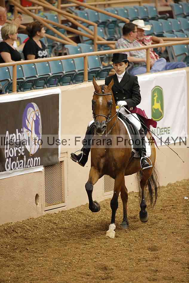 Proof 14yn_09368