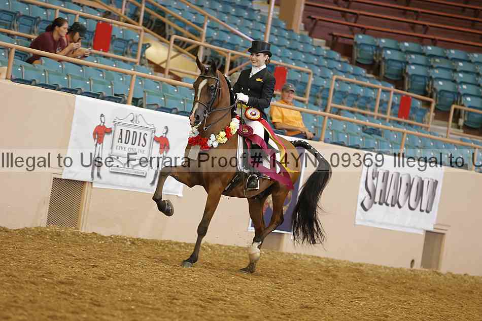 Proof 14yn_09369