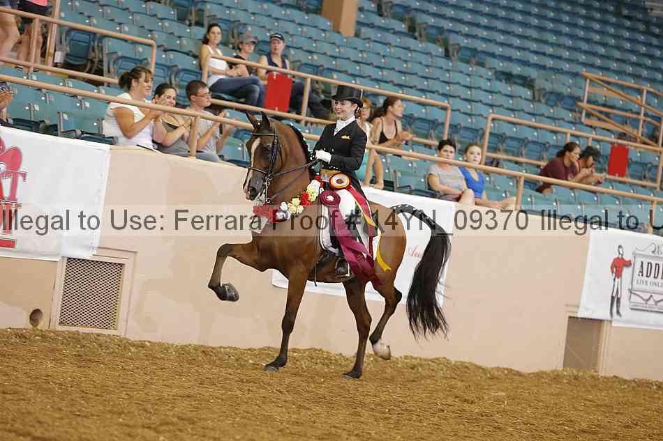 Proof 14yn_09370