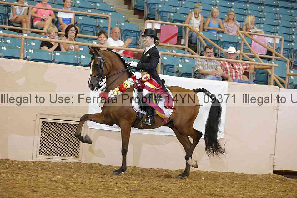 Proof 14yn_09371