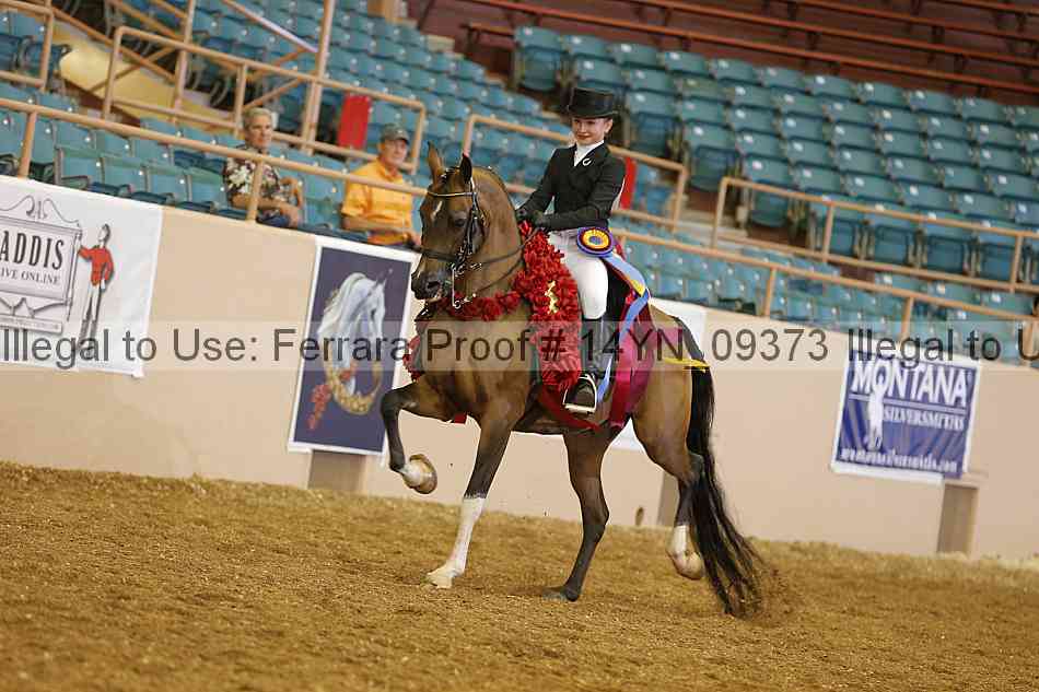 Proof 14yn_09373