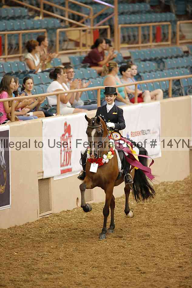 Proof 14yn_09374