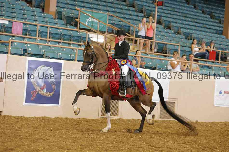 Proof 14yn_09375