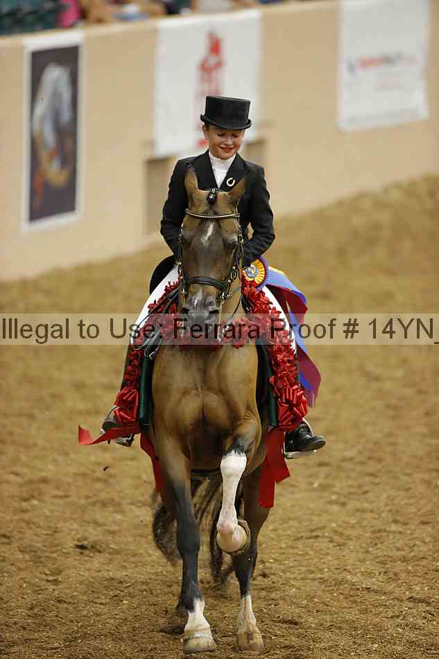 Proof 14yn_09377