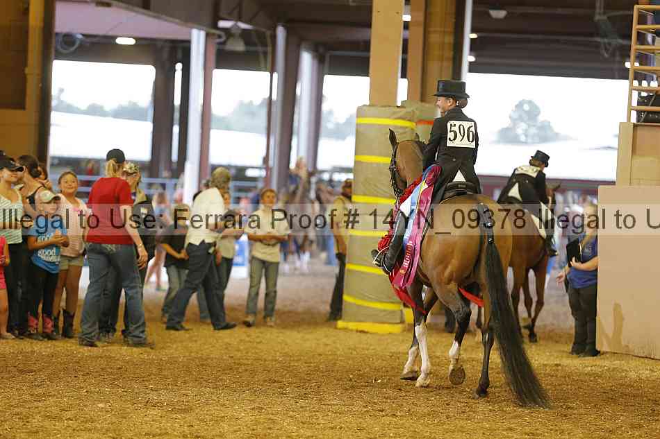 Proof 14yn_09378
