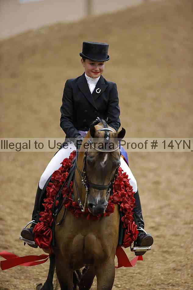 Proof 14yn_09379
