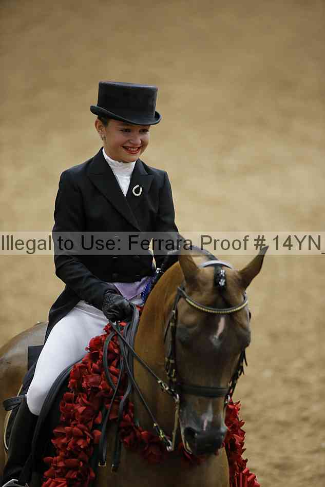 Proof 14yn_09380