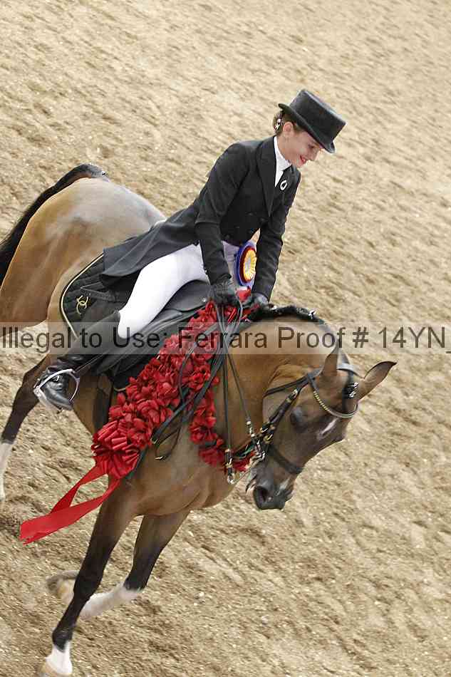 Proof 14yn_09381
