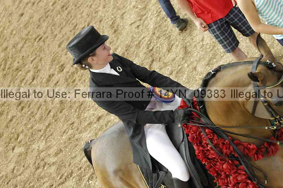 Proof 14yn_09383