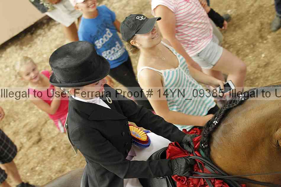 Proof 14yn_09385