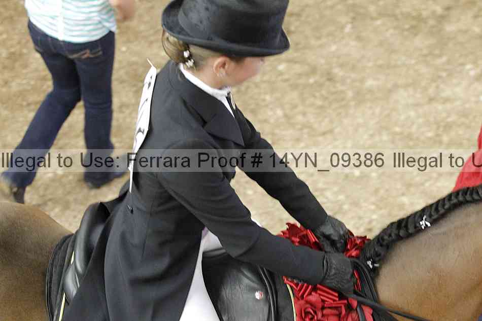 Proof 14yn_09386