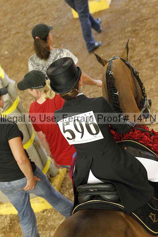 Proof 14yn_09388