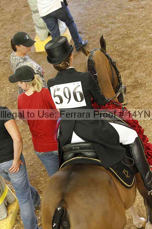 Proof 14yn_09389