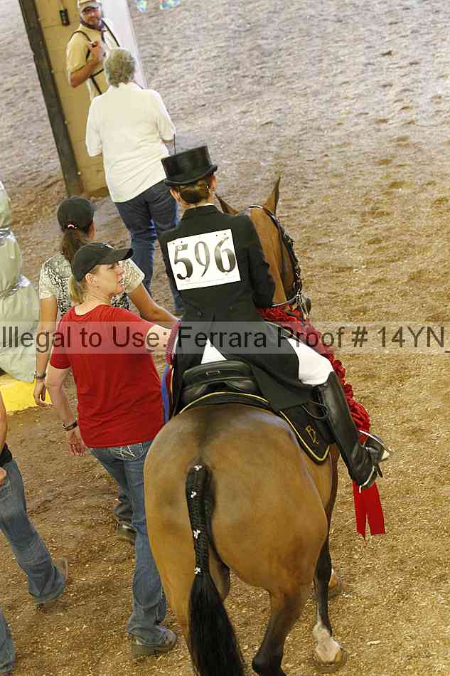 Proof 14yn_09390