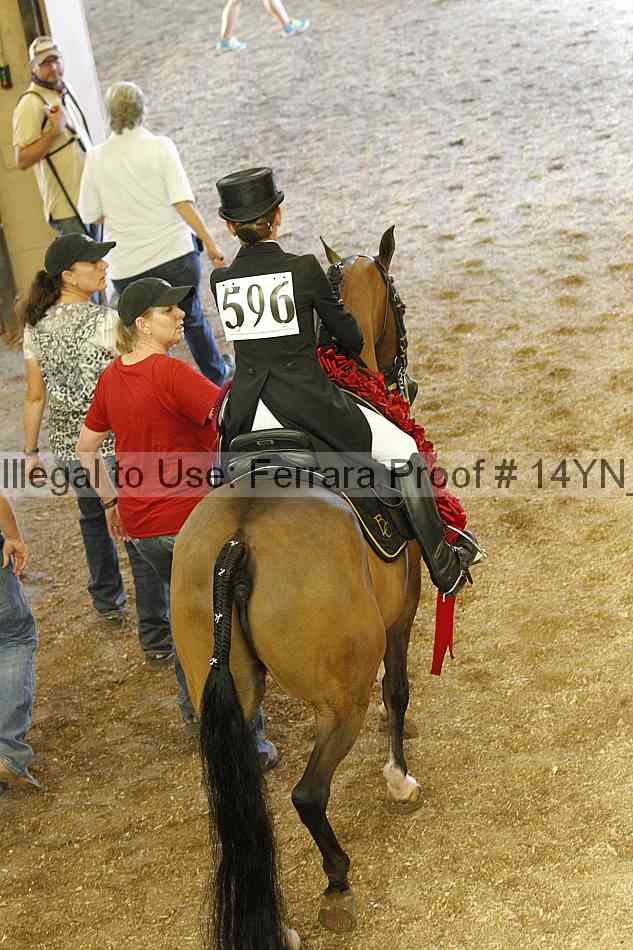 Proof 14yn_09391