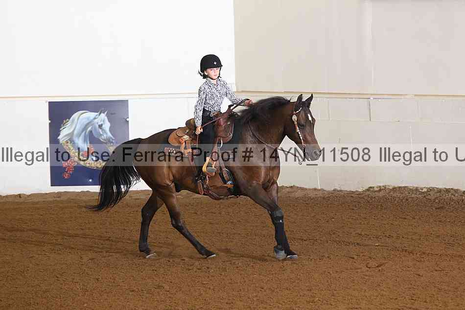 Proof 14yn_11508