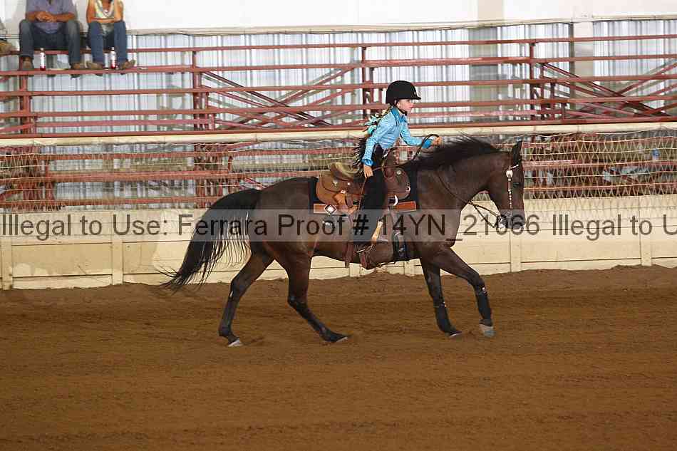 Proof 14yn_21066
