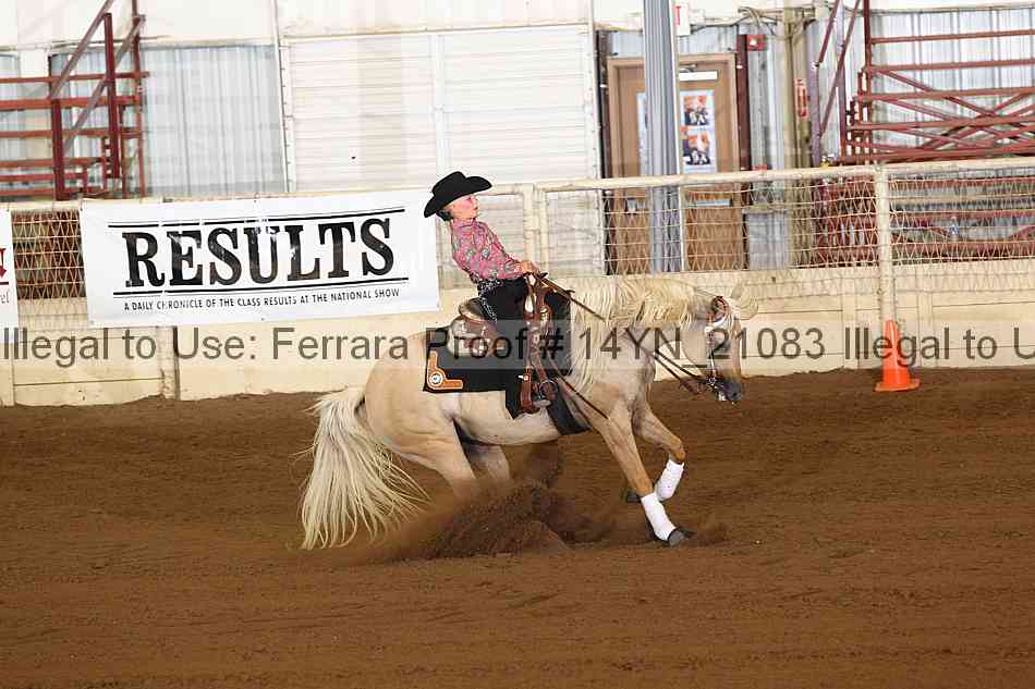 Proof 14yn_21083