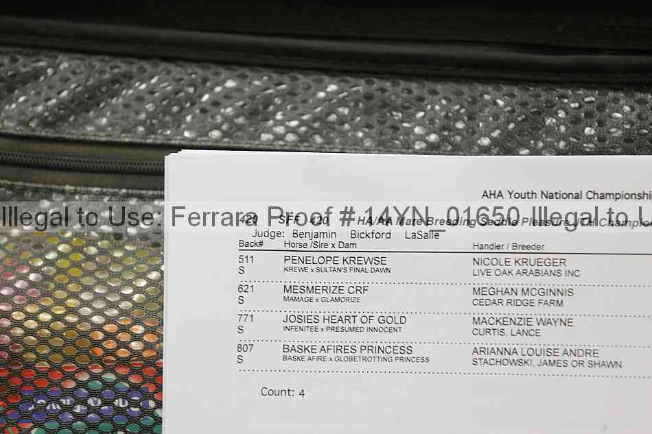 Proof 14yn_01650