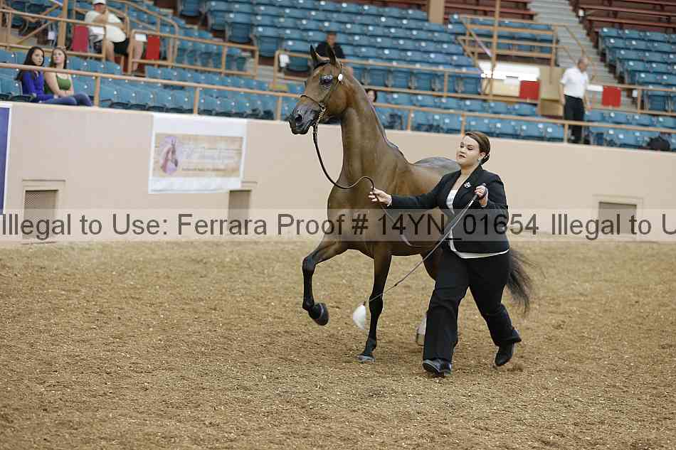 Proof 14yn_01654