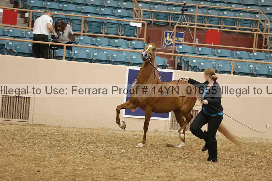 Proof 14yn_01655