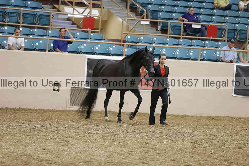 Proof 14yn_01657