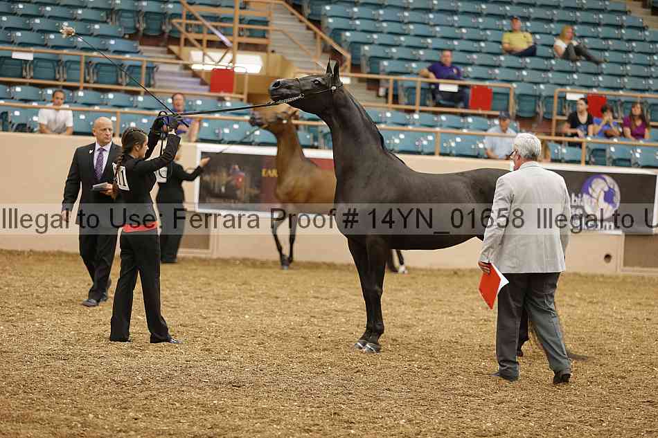 Proof 14yn_01658