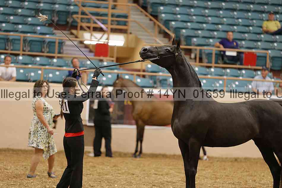Proof 14yn_01659