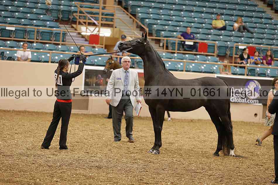 Proof 14yn_01661
