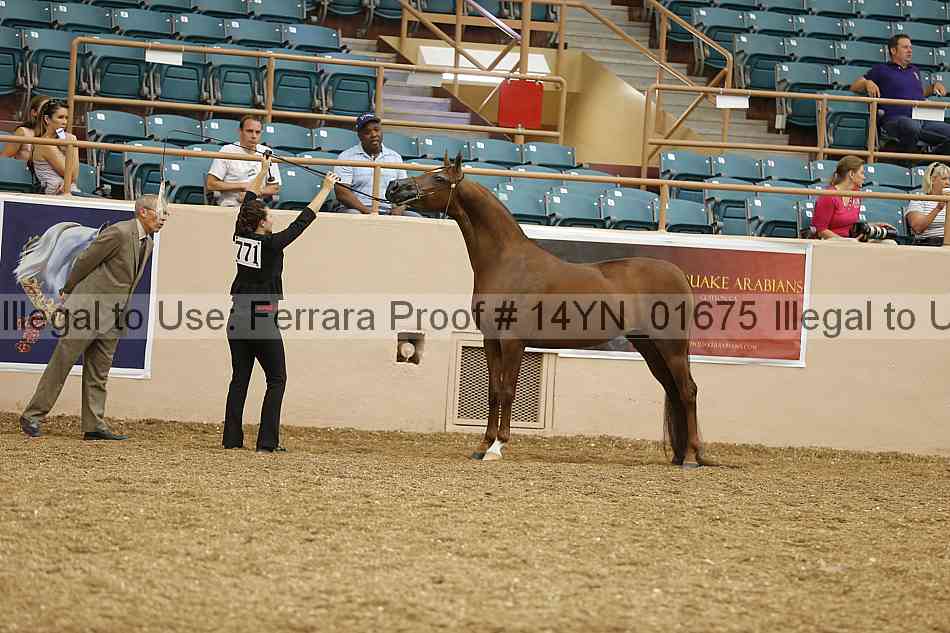 Proof 14yn_01675