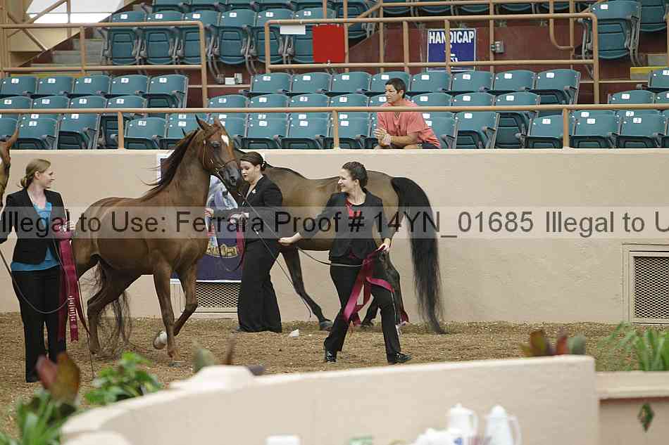 Proof 14yn_01685