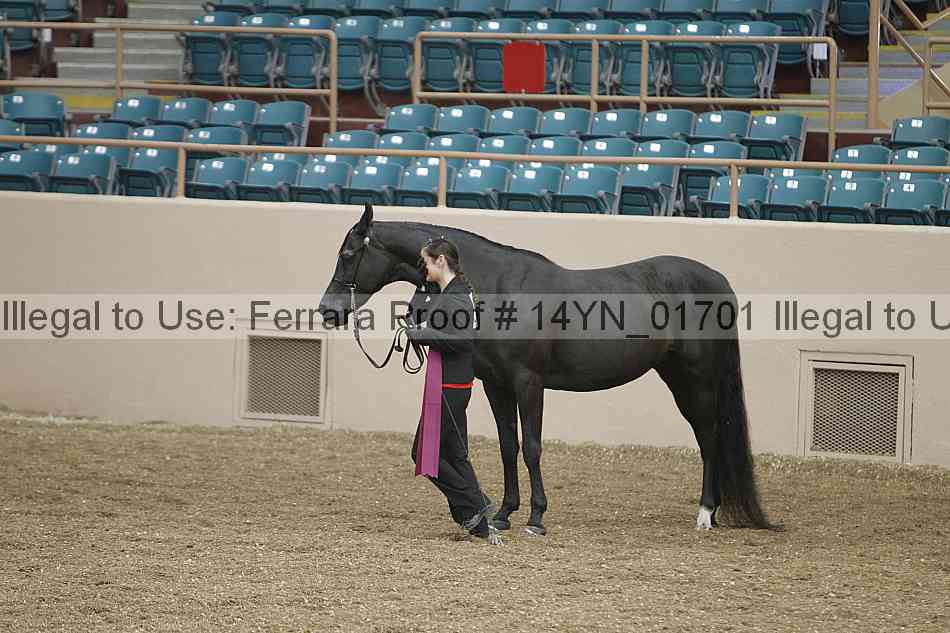 Proof 14yn_01701