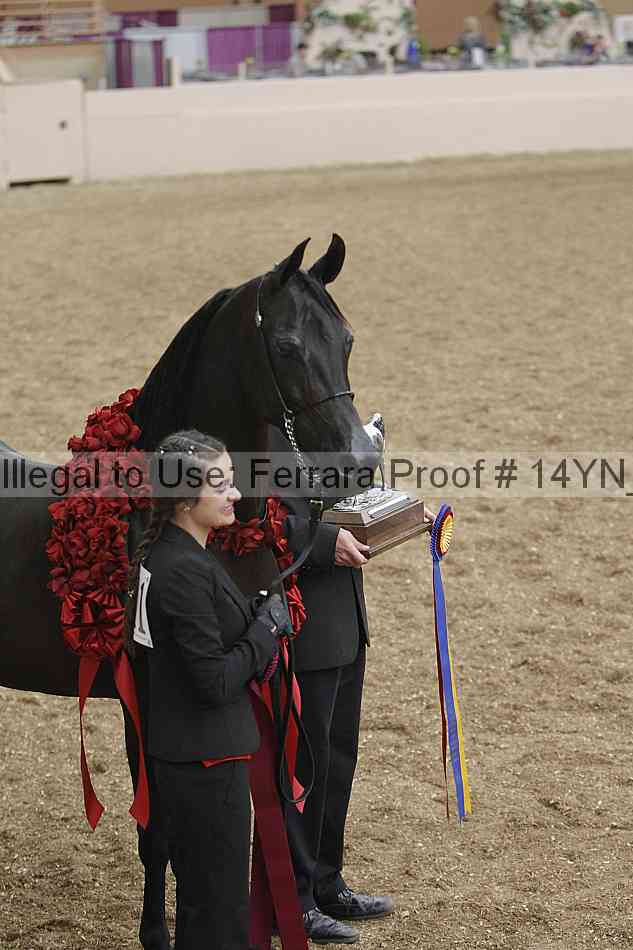 Proof 14yn_01704